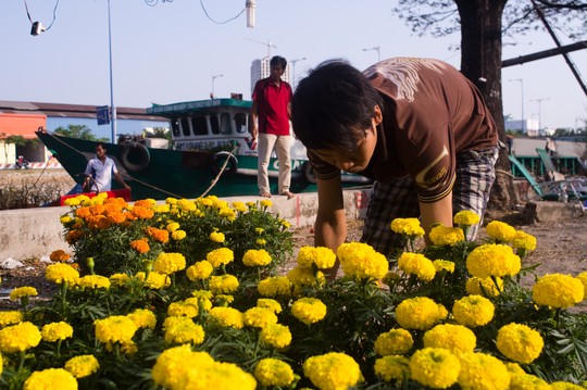 Đi bến Bình Đông rinh Tết về nhà